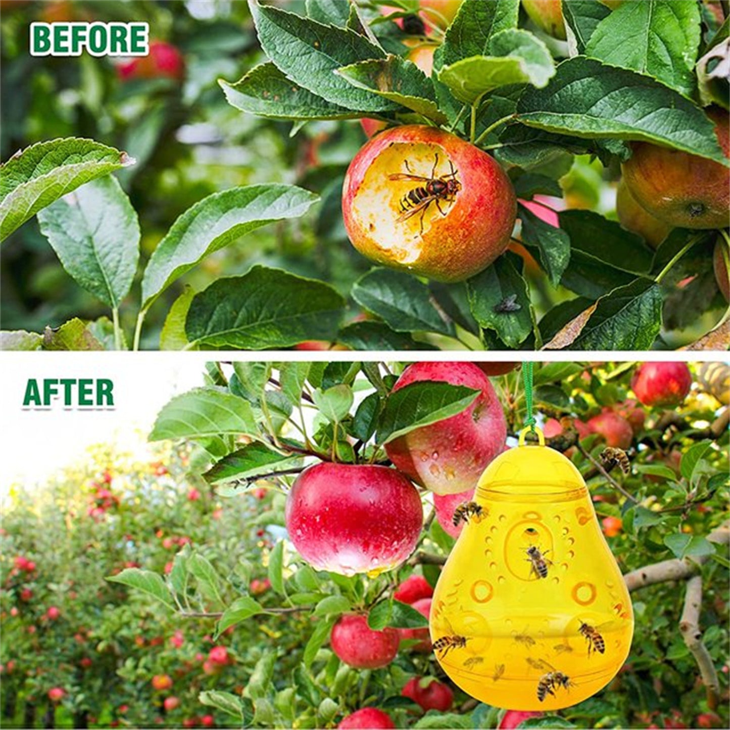 Jinyi 2 Pack Wasp Traps Bee Catcher Outdoor Hanging, Wasp Repellent Trap Deterrent Killer Insect Catcher, Non-Toxic Reusable Hornet Yellow Jacket Trap