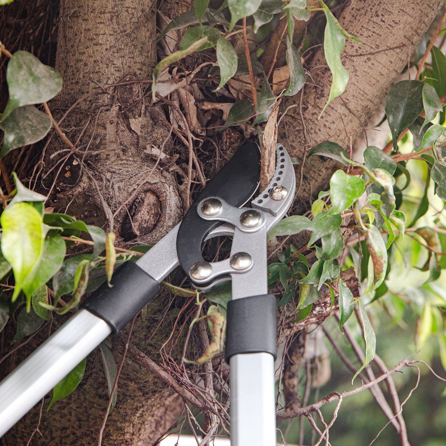 Pruning Shears, 28 inch Extendable Branch Cutter Tree Pruner Thick Branches Cutting Garden Loppers for Gardening