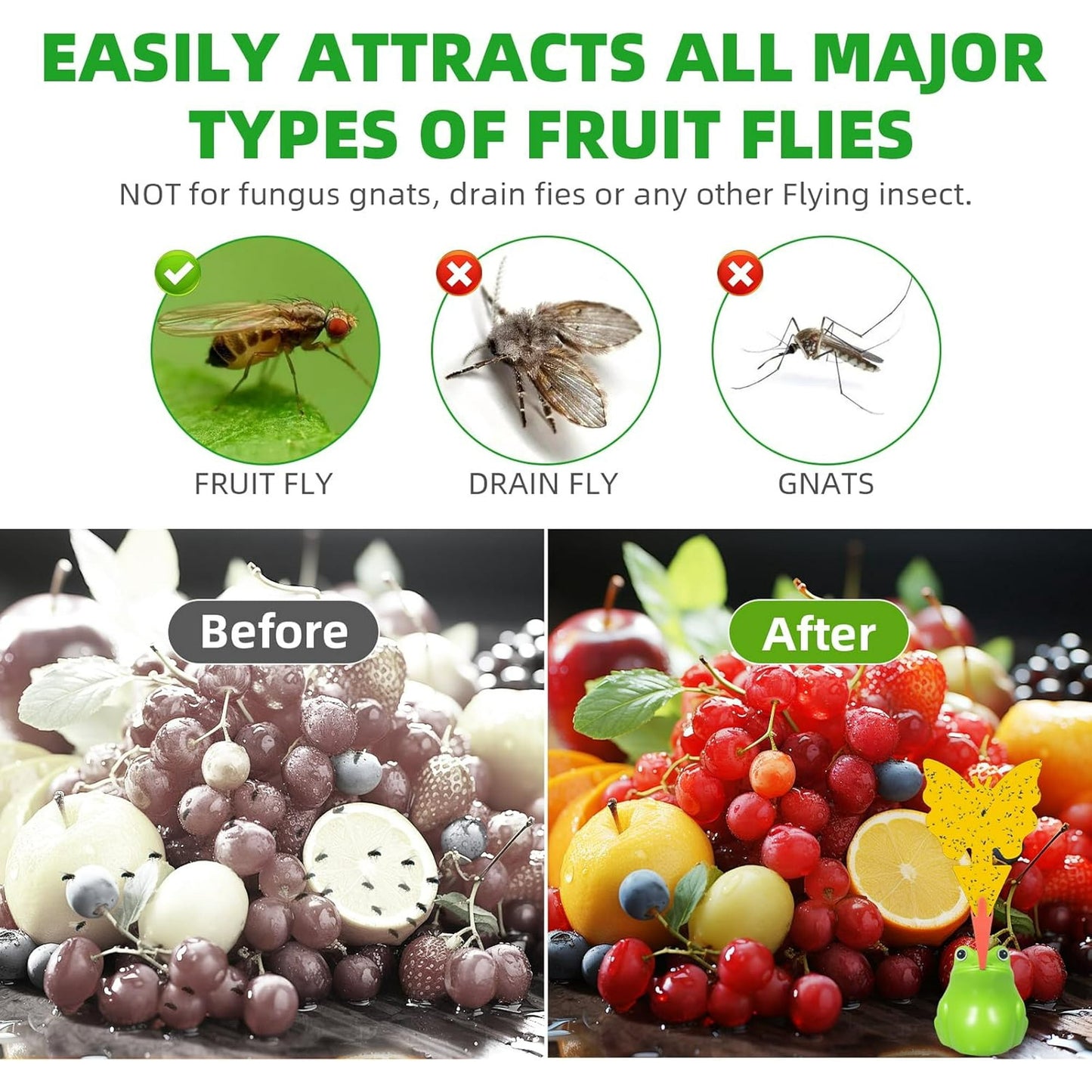 2Pack Fruit Fly Killer Reusable Gnat Traps Indoor House Fly Control Includes Sticky Pads Light Green