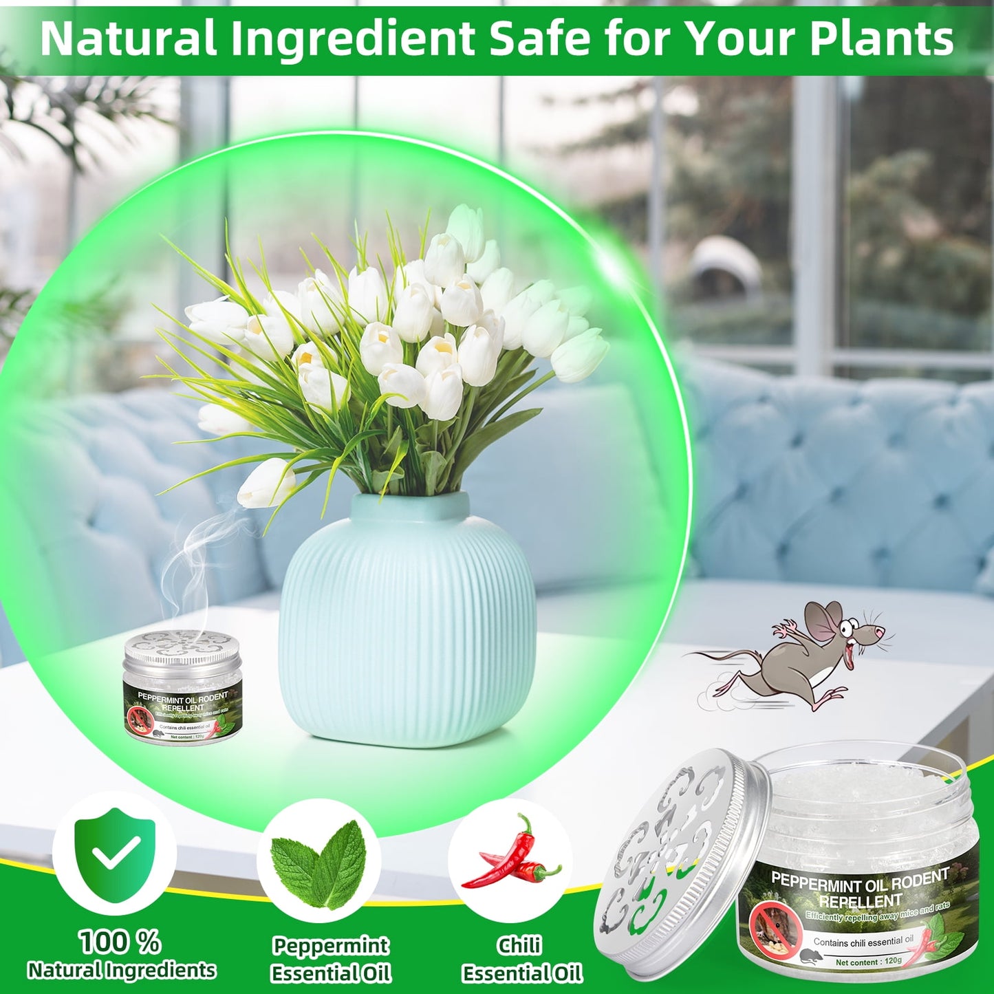 6pack Drive Away Rodents with Latest Peppermint Engine Mouse Repellent - Safe for Car, RV, Home, and Outdoors