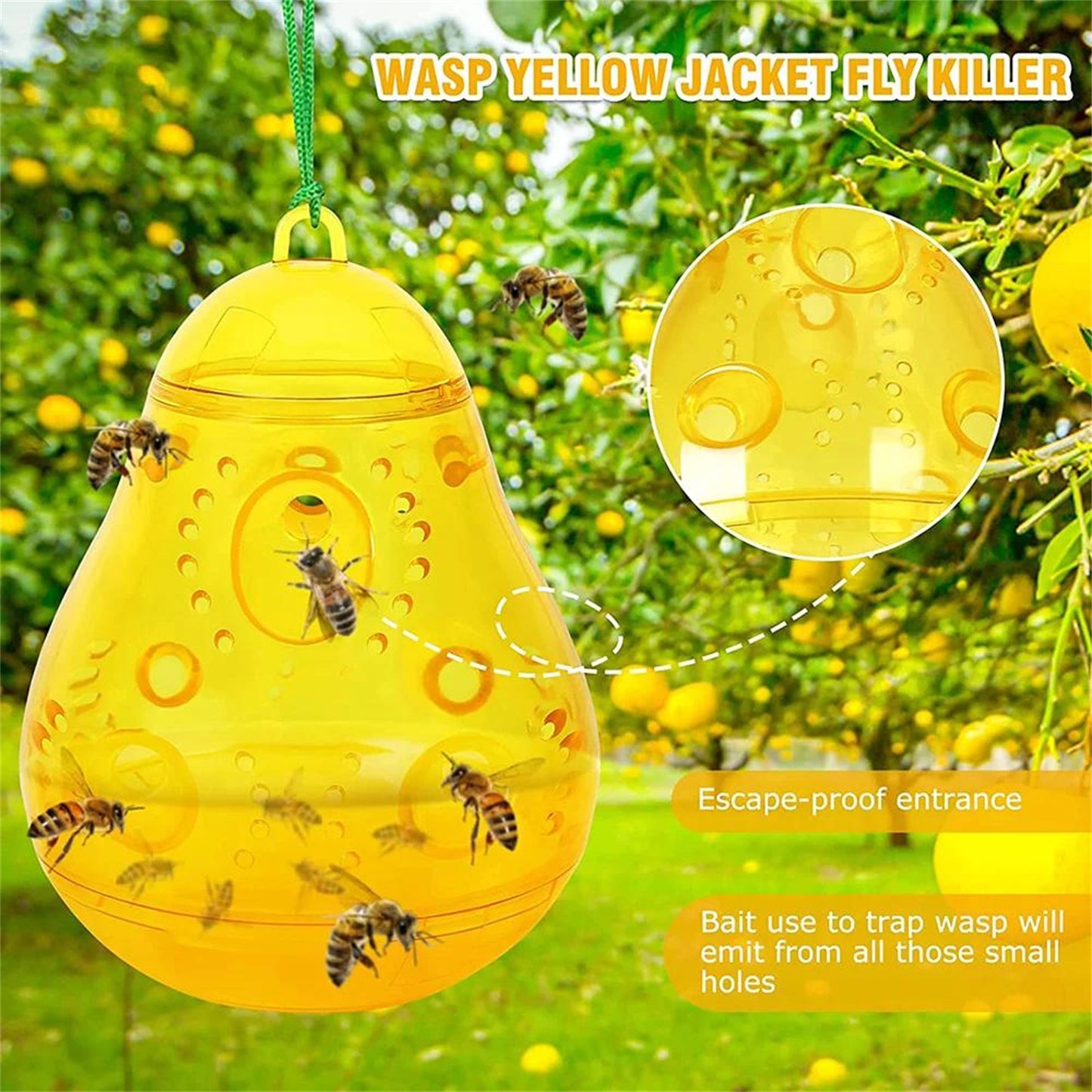 Jinyi 2 Pack Wasp Traps Bee Catcher Outdoor Hanging, Wasp Repellent Trap Deterrent Killer Insect Catcher, Non-Toxic Reusable Hornet Yellow Jacket Trap