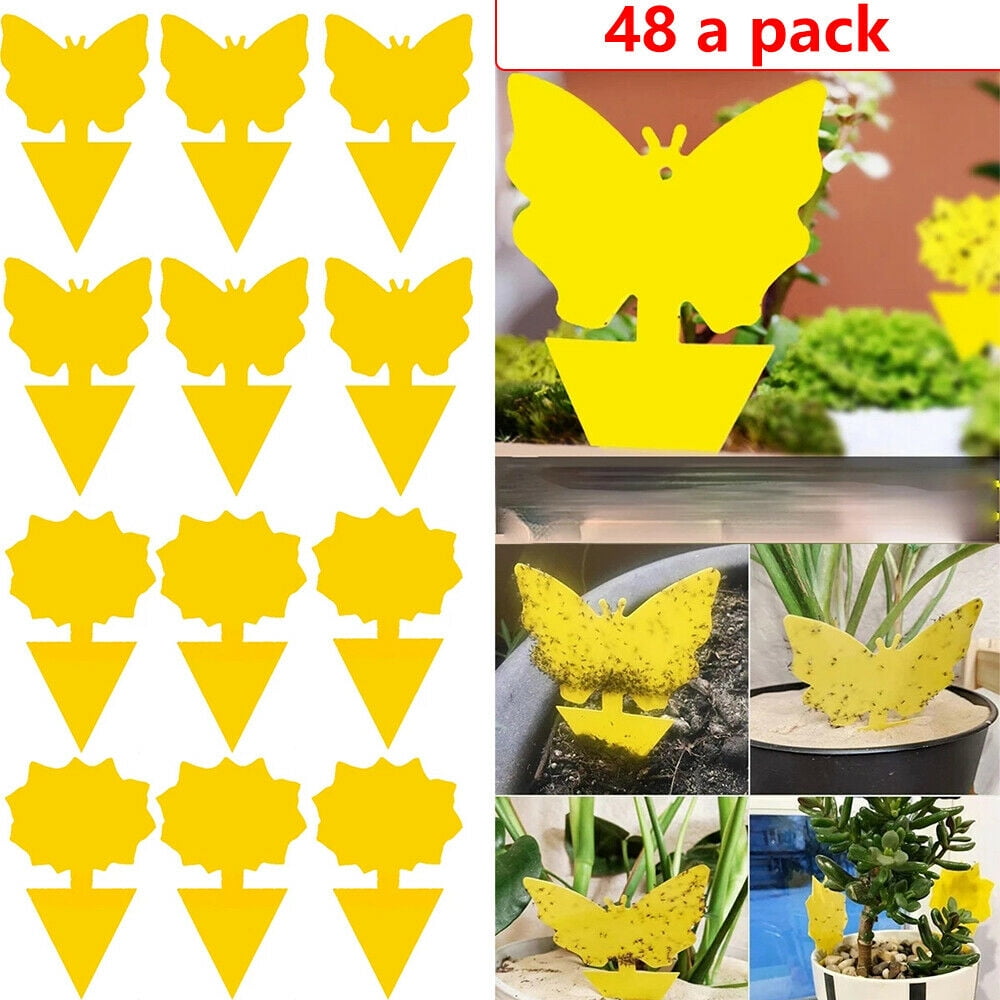 JahyShow 48Pcs Sticky Fly Traps for Fruit Flies Gnat Out/Indoor Plant Fly Traps Catcher