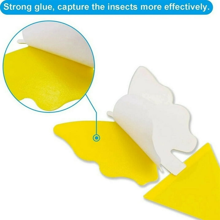 JahyShow 48Pcs Sticky Fly Traps for Fruit Flies Gnat Out/Indoor Plant Fly Traps Catcher