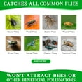 Effective Outdoor Hanging Fly Trap 8 Pack, Waterproof Bait Tray Reusable Stable Family Farms Gardens Restaurants - Ranch Fly Repellent
