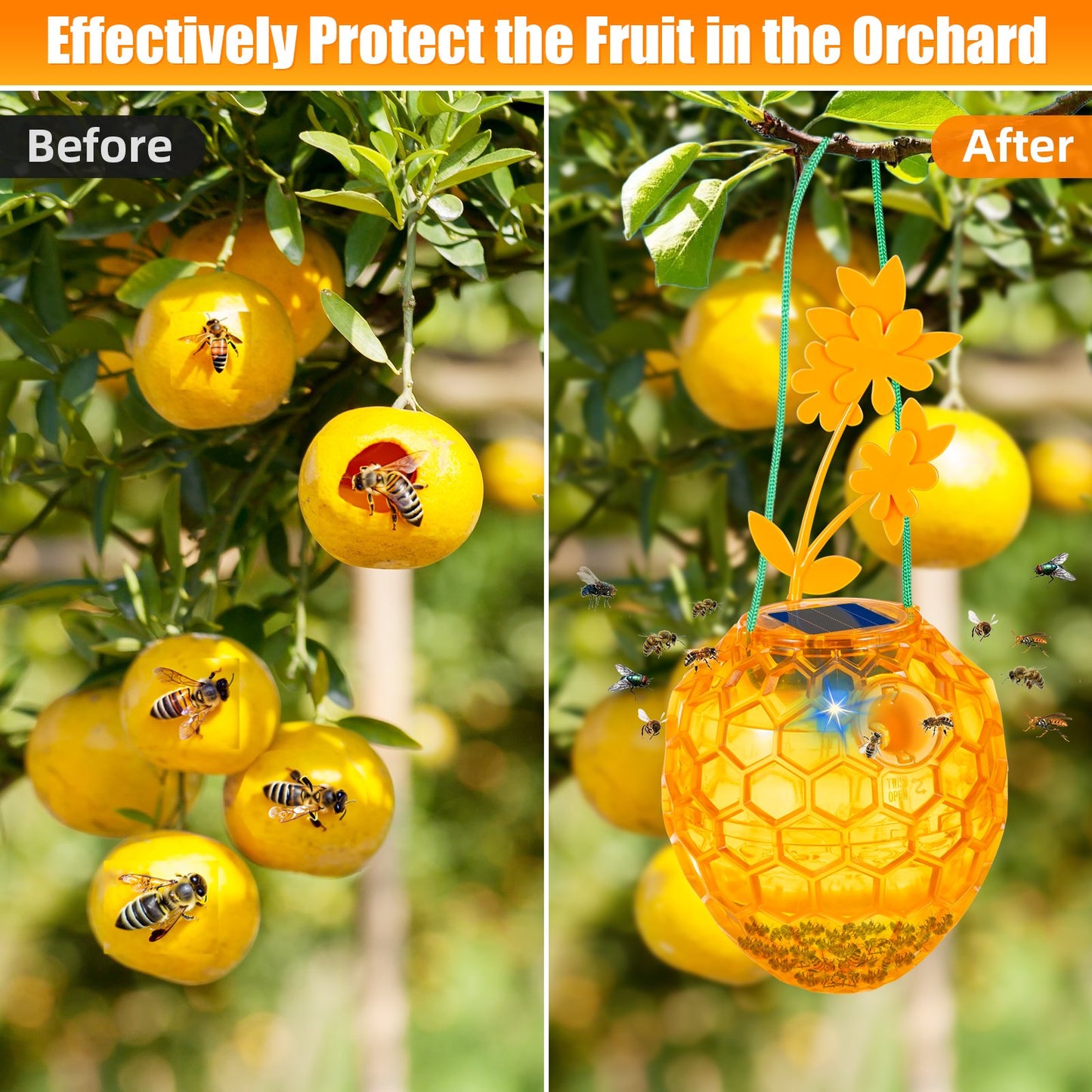 Reusable Outdoor Fly Trap - Solar Powered, Durable, Non-Toxic, and Eco-Friendly for Garden, Patio, and Home