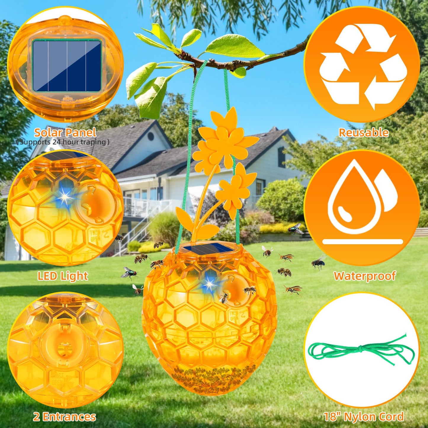 Reusable Outdoor Fly Trap - Solar Powered, Durable, Non-Toxic, and Eco-Friendly for Garden, Patio, and Home