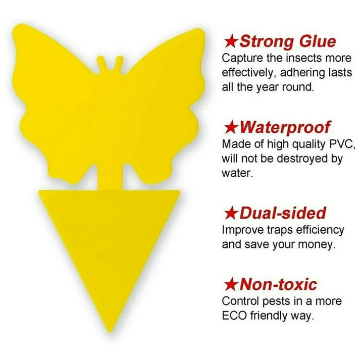 JahyShow 48Pcs Sticky Fly Traps for Fruit Flies Gnat Out/Indoor Plant Fly Traps Catcher