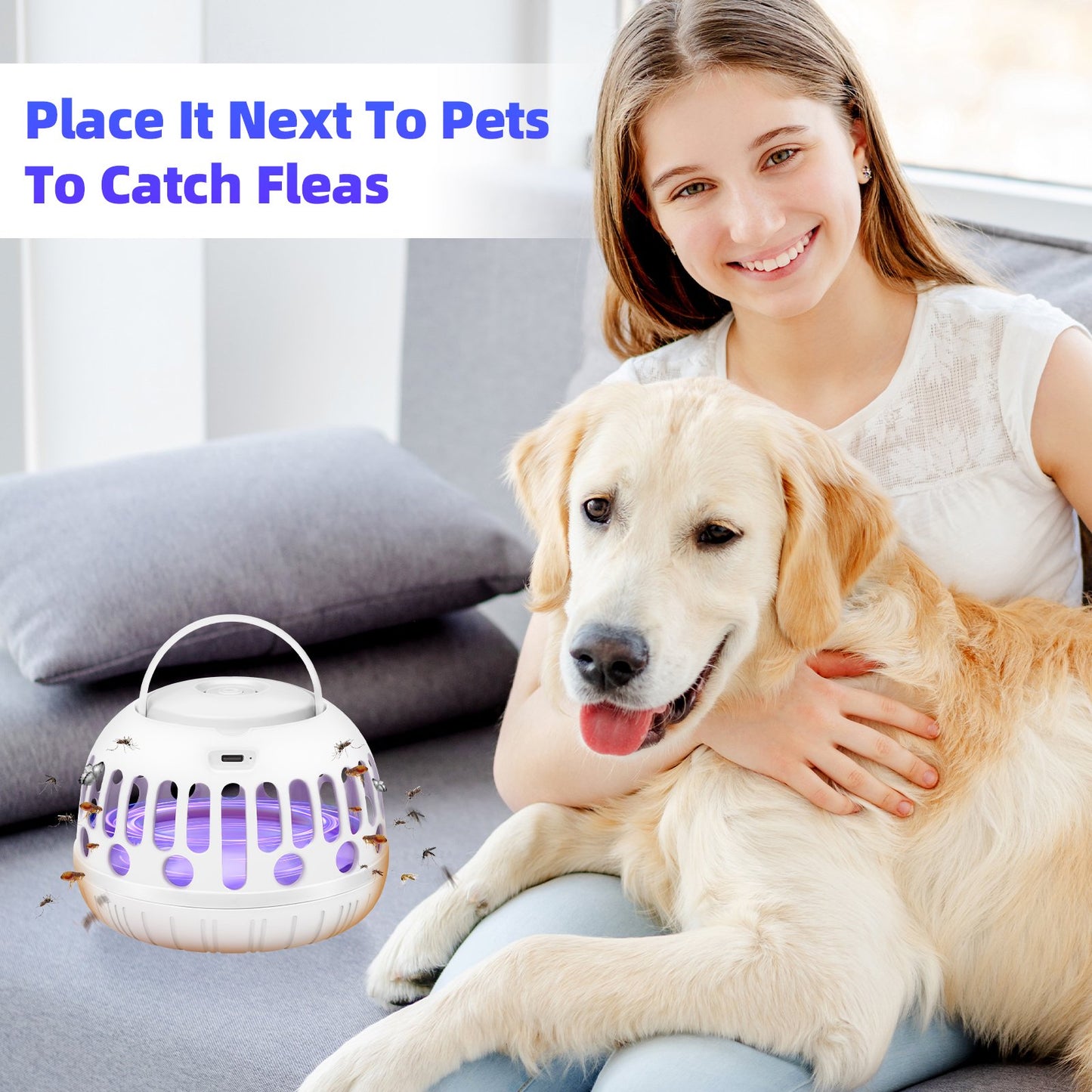 2-Pack Flea Trap Featuring 4 Sticky Discs Electric Wires Perfect For Pet Safety Indoor Outdoor Pest Management