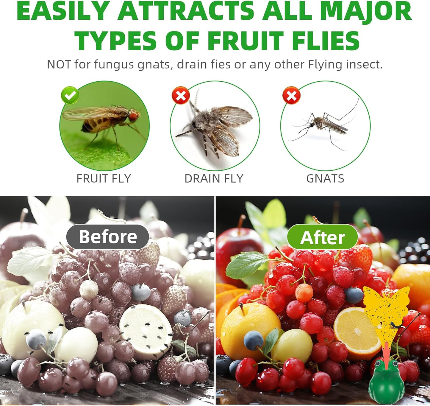 2Pack  Indoor Fruit Fly Traps with Sticky Stickers and Bait,Non-toxic Fruit Fly Catcher for House Dark Green