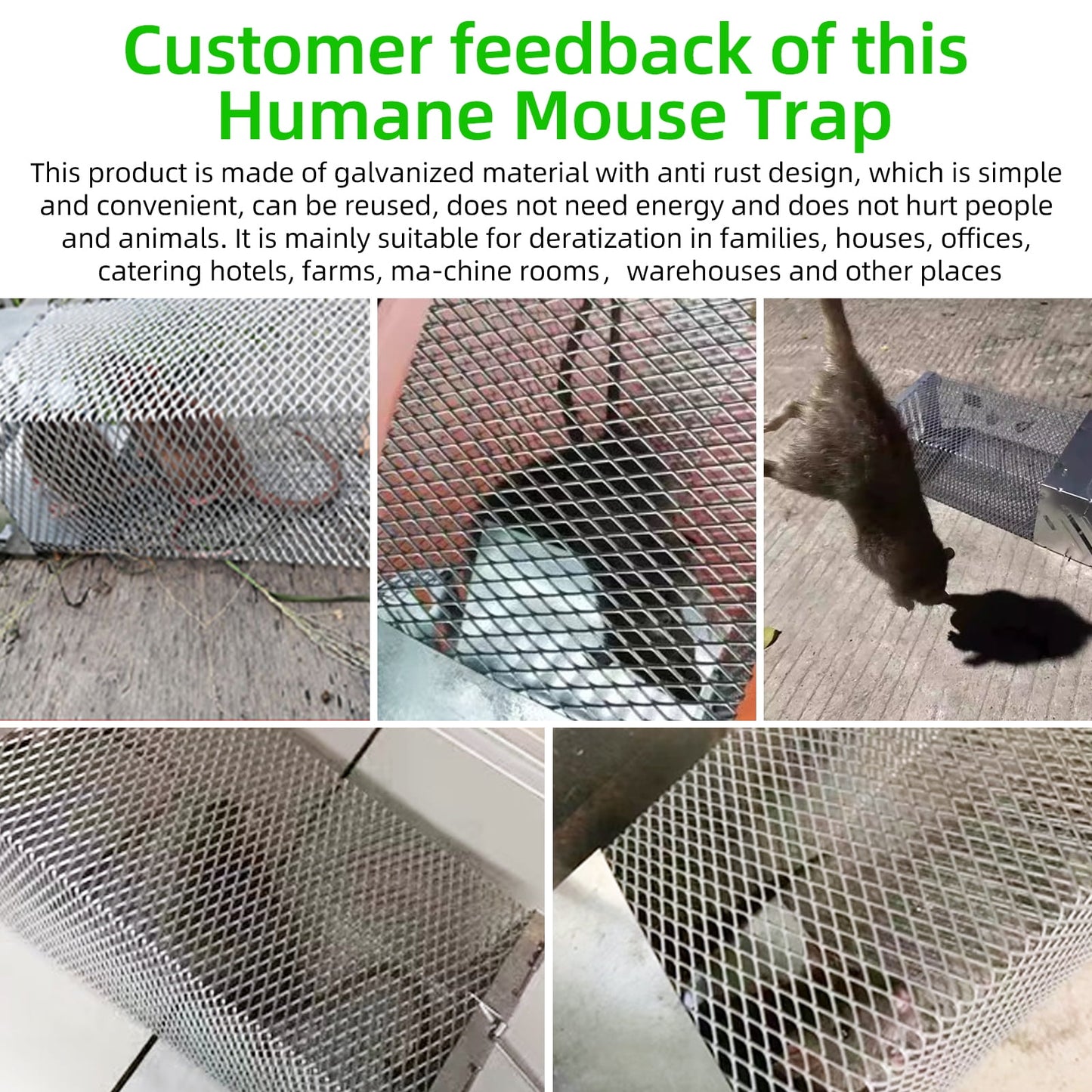 Jinyi Human Mouse Trap, Caged Mice Catcher Indoor & Outdoor Use No Harm Automatic Rodent Removal