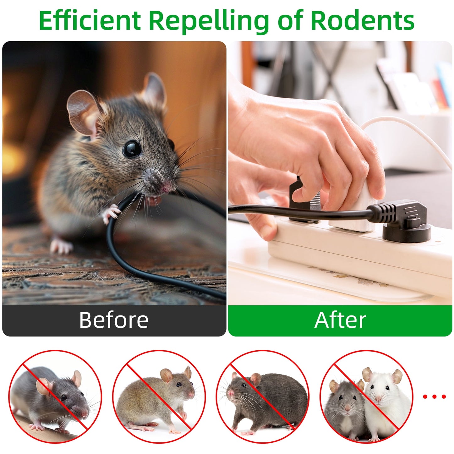 Natural Peppermint Oil Mouse Repellent for Car Engine - Safe Pest Control Solution - Set of 6 Packs