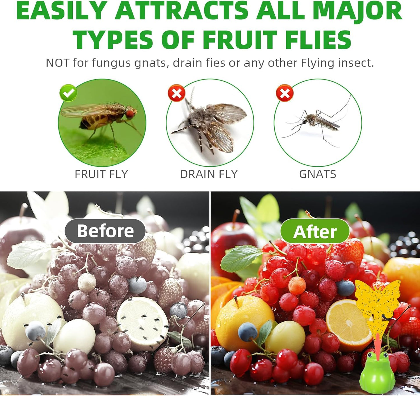 2Pack  Indoor Fruit Fly Traps with Sticky Stickers and Bait,Non-toxic Fruit Fly Catcher  for House Light Green