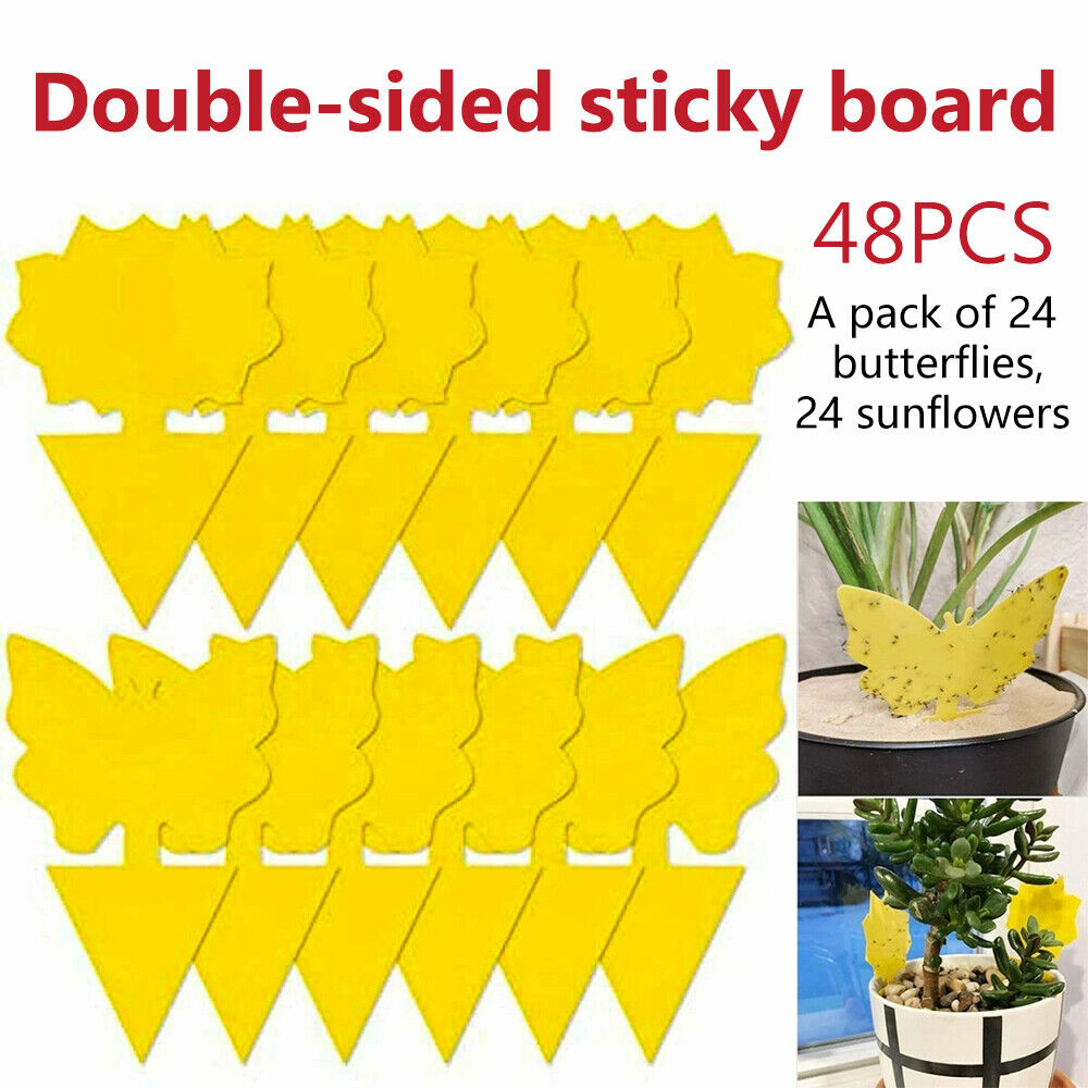 48x Sticky Fruit Fly Traps Fungus Gnat Killer Trap Use for Indoor&Outdoor